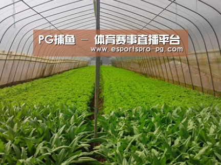 种植基地四