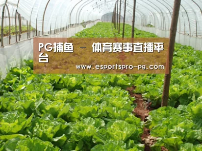 种植基地五