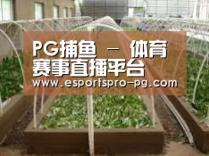 环境展示五