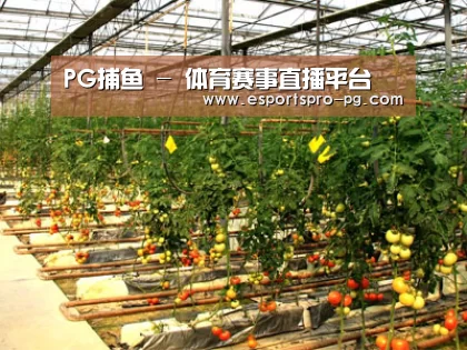 种植基地二
