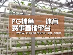 环境展示六