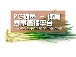 产品名称二