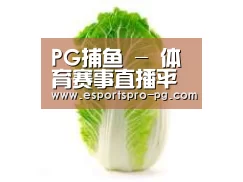 产品名称一(图1)