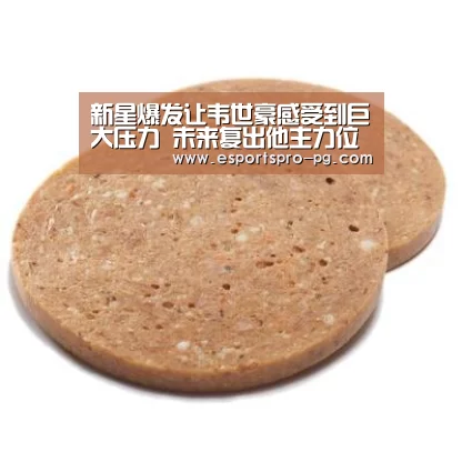 新星爆发让韦世豪感受到巨大压力 未来复出他主力位置或因此不保【PG棋牌】(图3) PG亚洲体育
