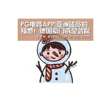 PG电竞APP|亚洲球员的福地!德国豪门或是武磊留洋最佳去处?(图2) PG电竞APP