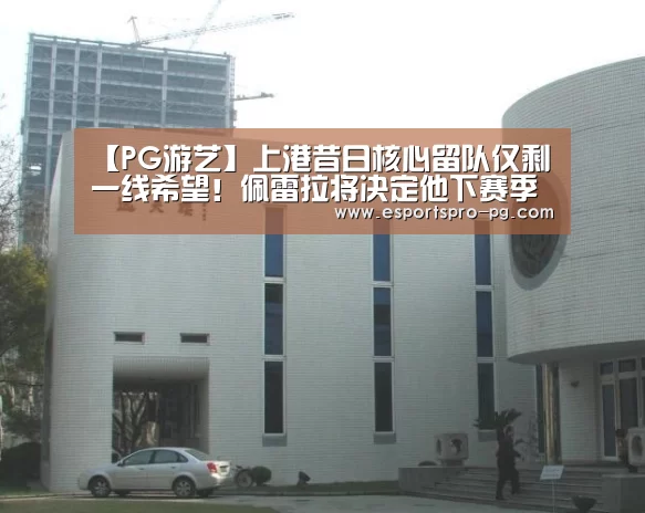 【PG游艺】上港昔日核心留队仅剩一线希望!佩雷拉将决定他下赛季去留(图3) PG电竞APP